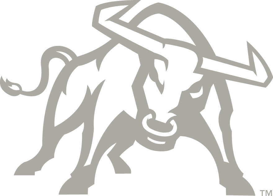 Utah State Aggies 2012-Pres Alternate Logo v4 iron on transfers for clothing